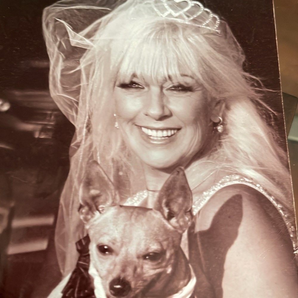 Meet your Posher, Traci
